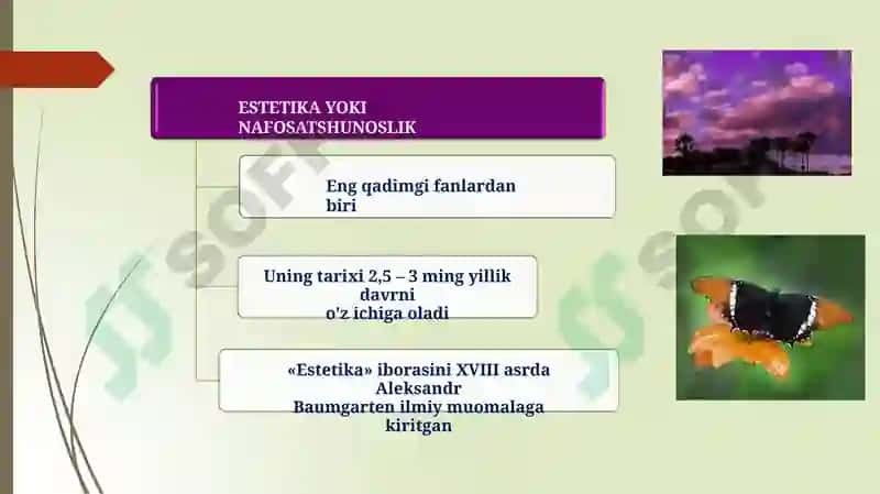 ESTETIKA 3