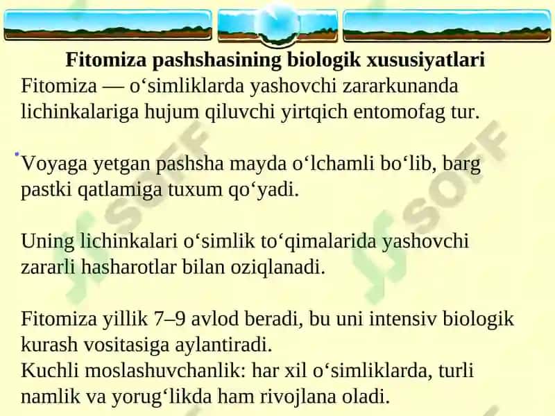 Mavzu: Fitomizani yopiq gruntda, laboratoriya sharoitida ko‘paytirish. 3