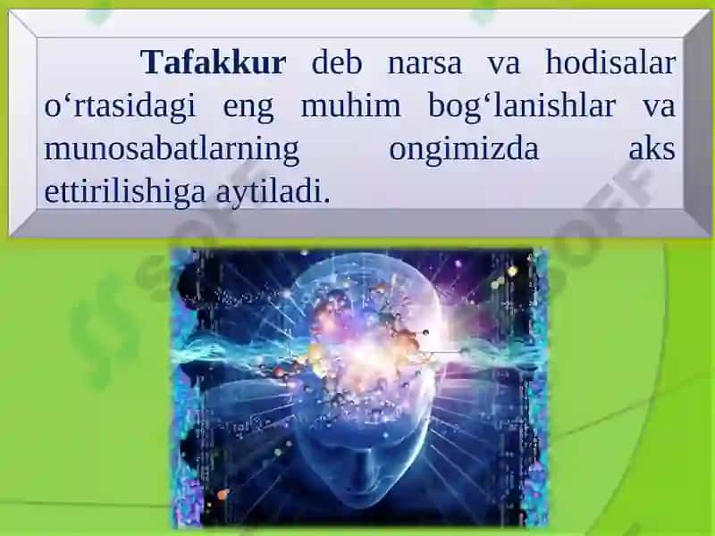 Tafakkur 3