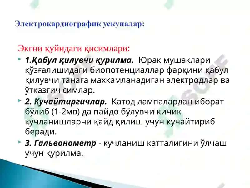 Электрокардиограмма 3