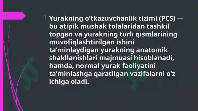 Yurakning o'tkazuvchanlik sistemasi 3