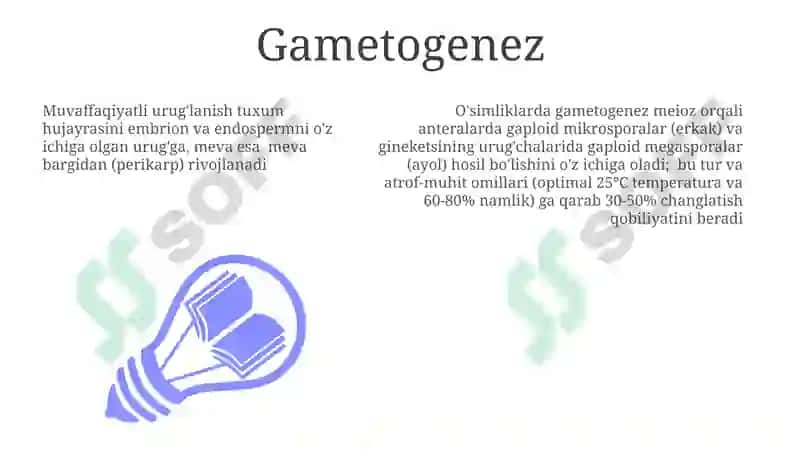 O'simliklarni o'g'itlash tizimining biologik asoslari 3