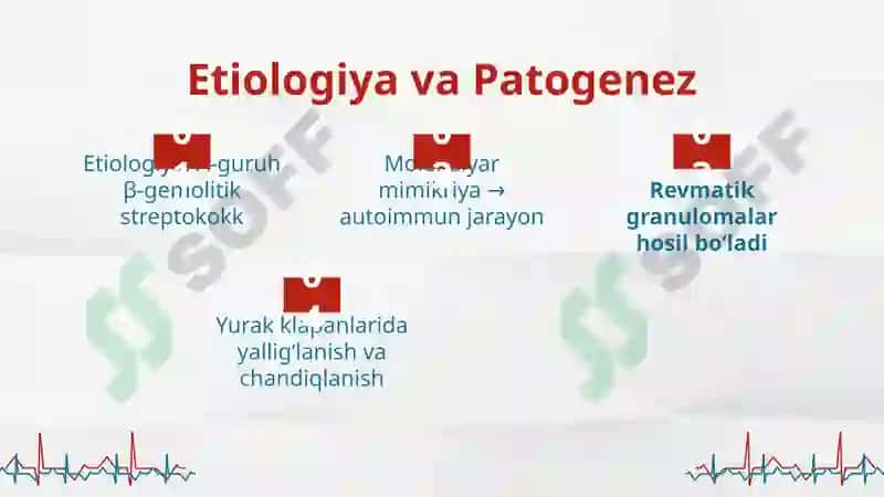O‘tkir revmatik isitma. Mitral va aortal yurak nuqsonlari 3