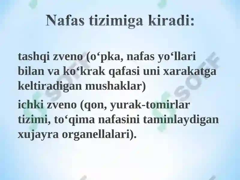 Nafas sistemasining funksional xarakteristikasi 3