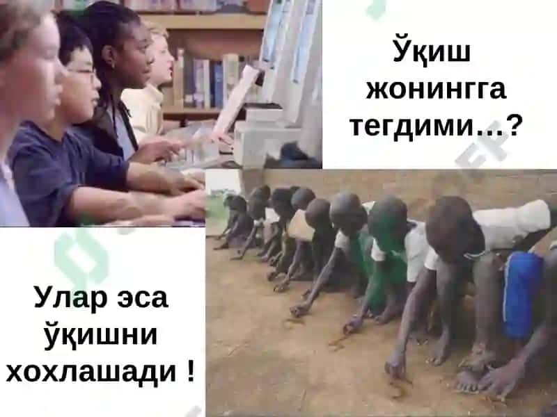 Уйлаб кўр 3