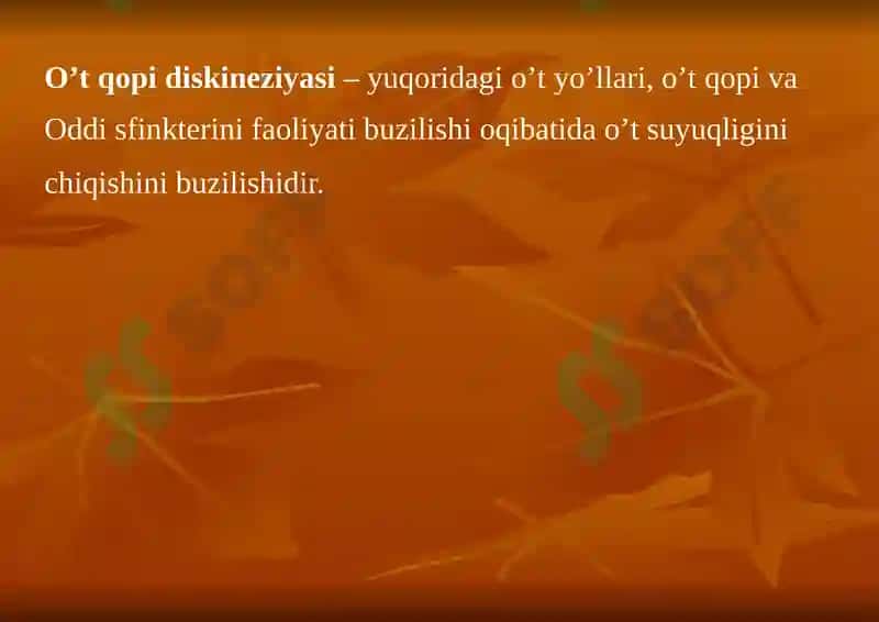 Oʼt yoʼllari diskineziyasi 3