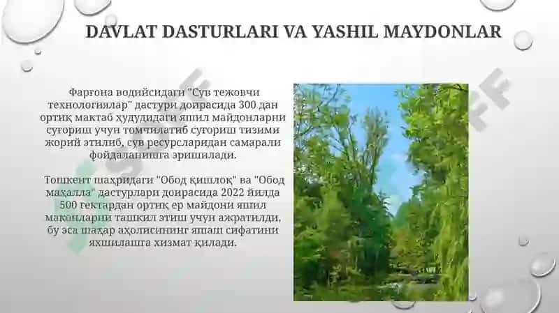 Yashil makon 3