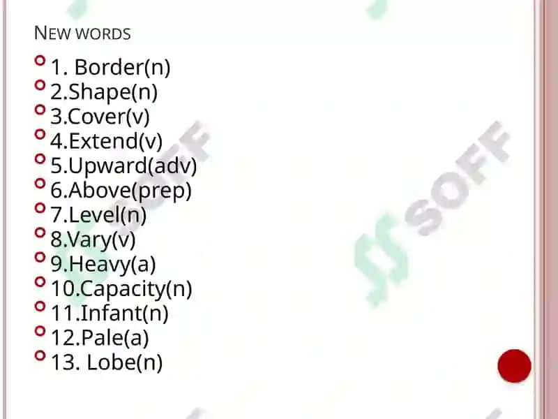Respiratory system (Anatomy) 3