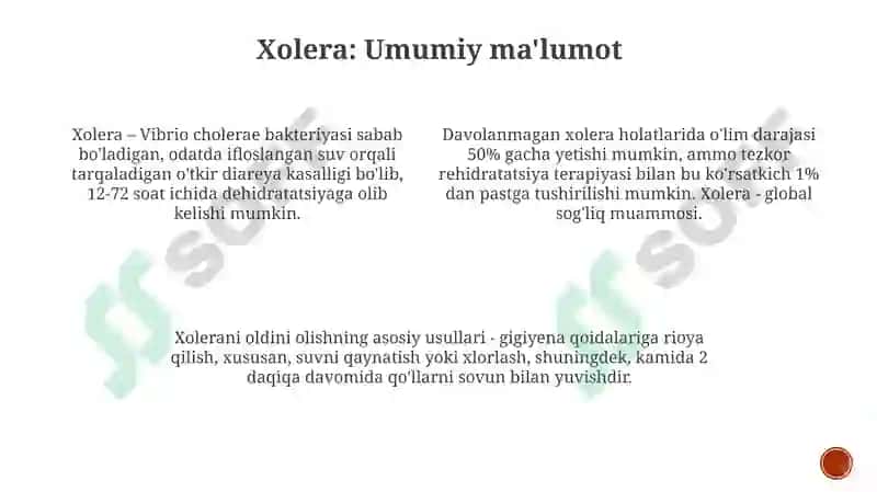 Xolera 3