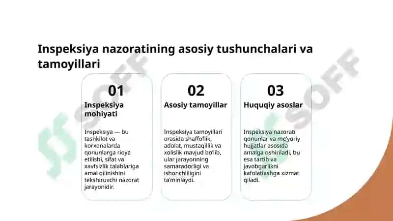 Inspeksiya nazorati 3