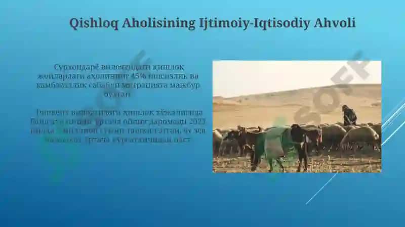 Zamonaviy Agrar Siyosatning Islohotlari va Muammolari 3