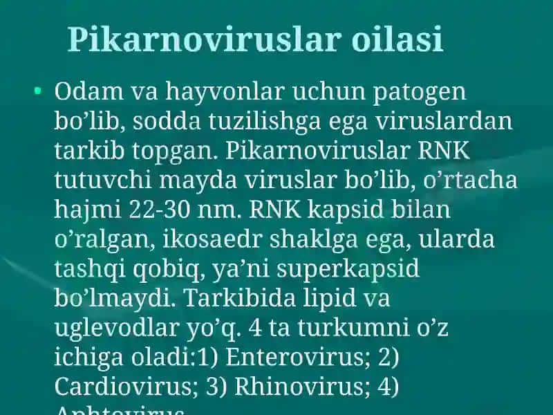 RNK SАQLOVCHI VIRUSLАR 3