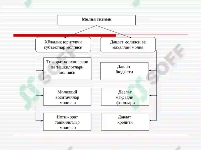 Молия тизими 3