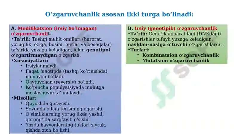 O‘zgaruvchanlik va uning xillari 3