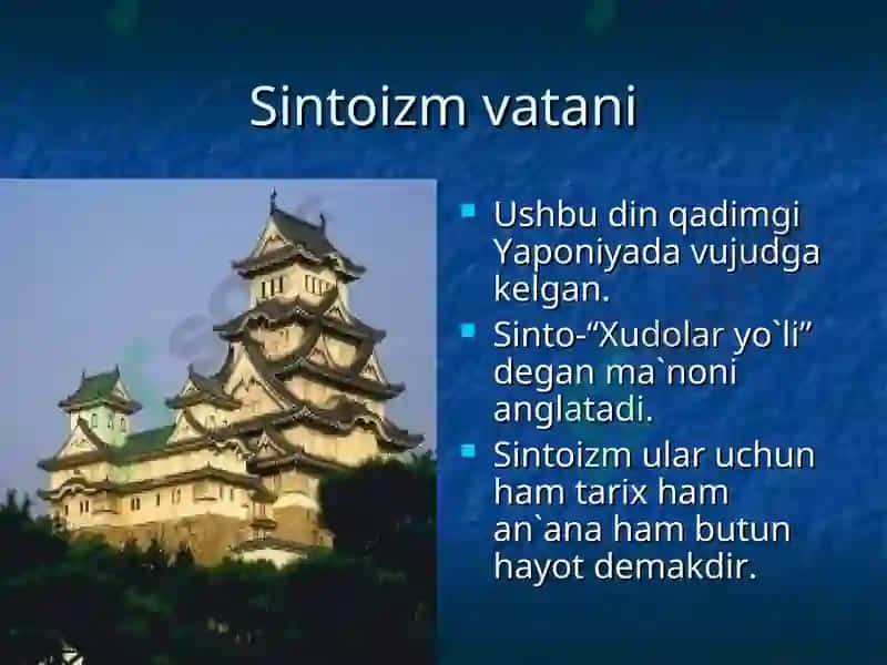 SINTOIZM 3