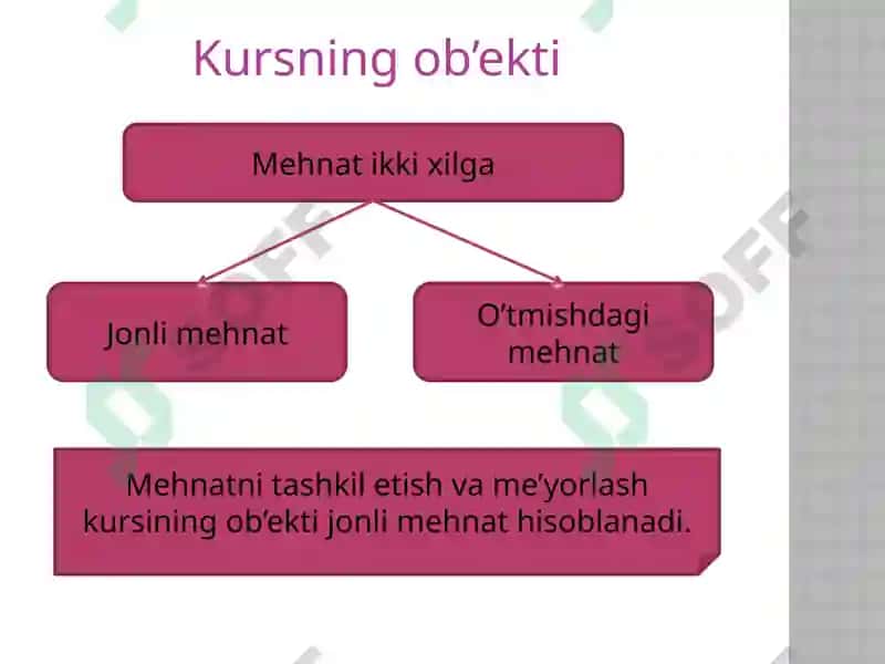 Mehnatni Tashkil Etish va Me'yorlash 3