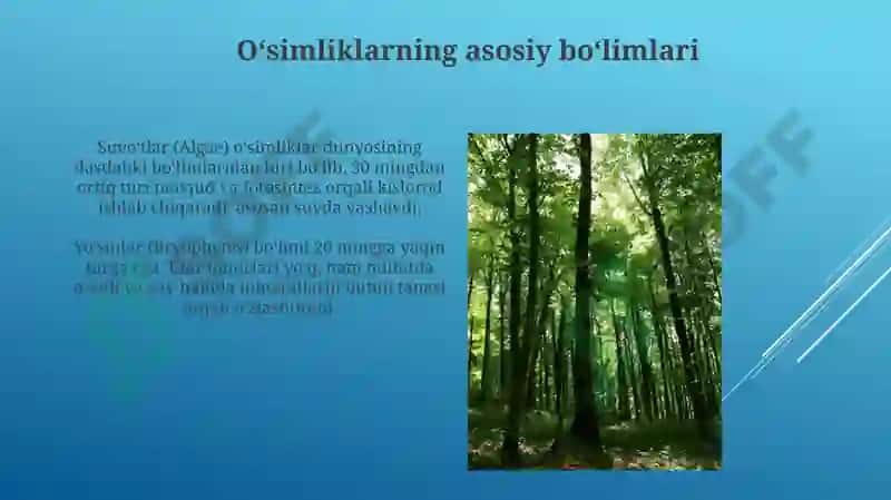 O'simliklarning asosiy boʻlimlari va hayotiy shakllari 3
