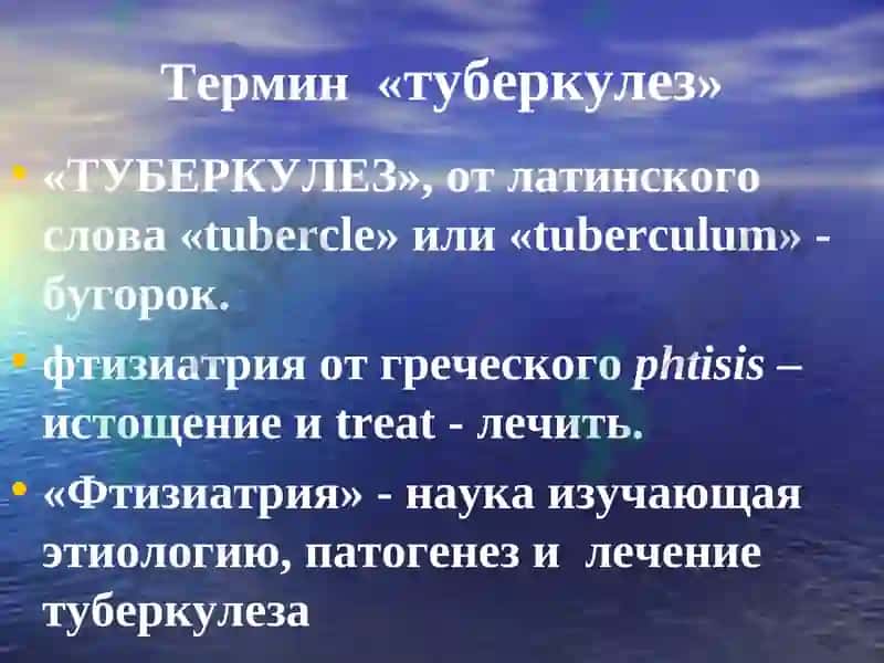 История развития туберкулёза 3