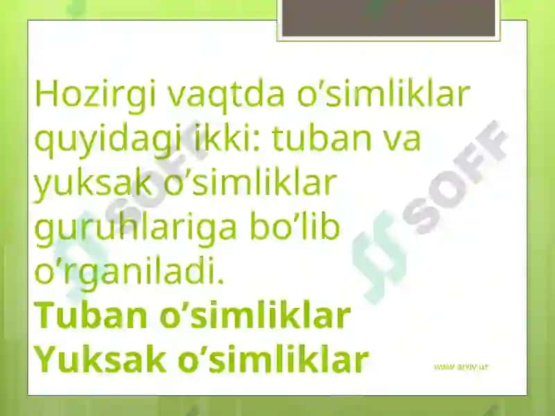 Oʻsimliklar dunyosi va ularni hayot tarzi haqidagi bilimlarni bilib olish haqida tahlil qilish 3