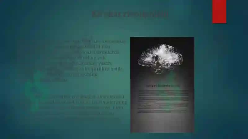 Miyacha rivojlanish anatomiyasi 3