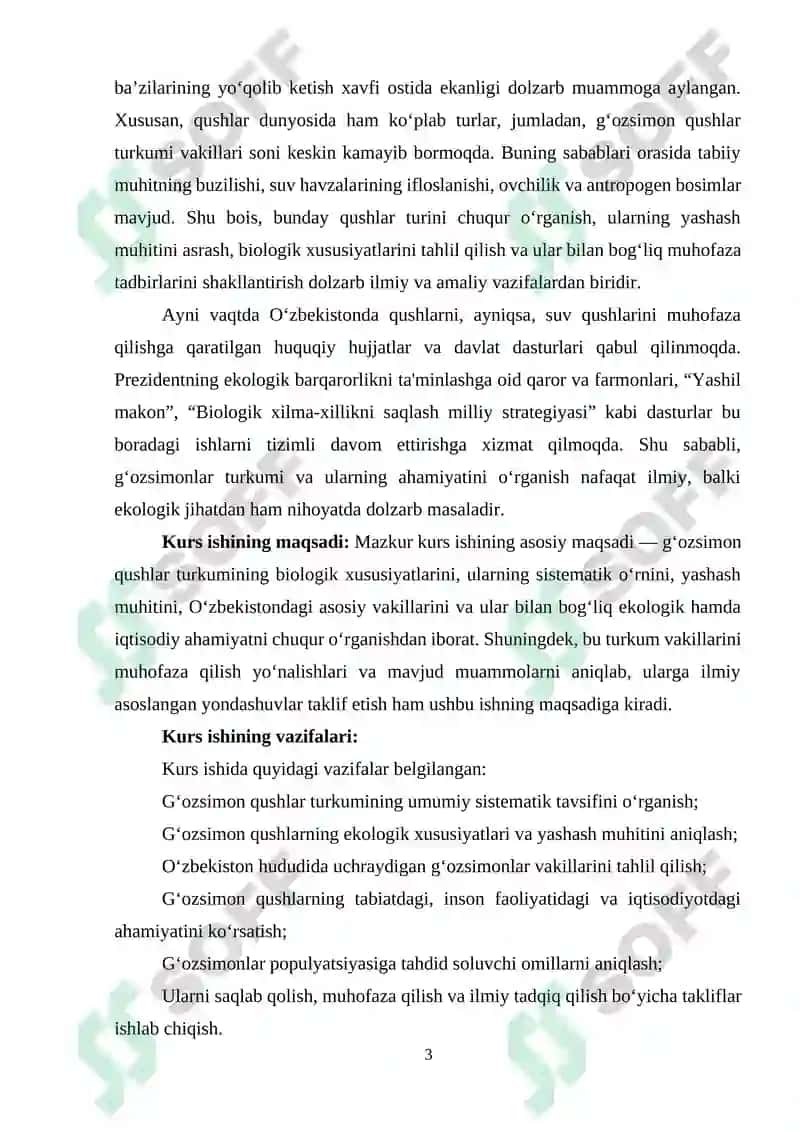 GʻОZSIMONLАR TURKUMI HАQIDА UMUMIY TUSHUNCHА 3