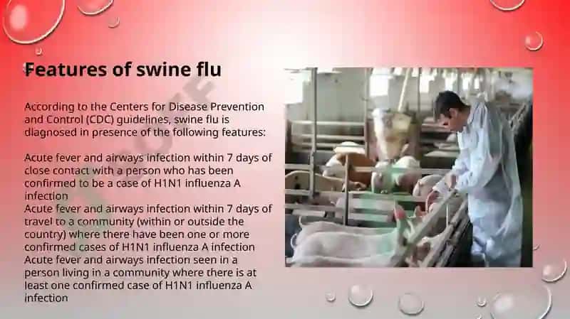 Swine and avian influenza and their current problems 3