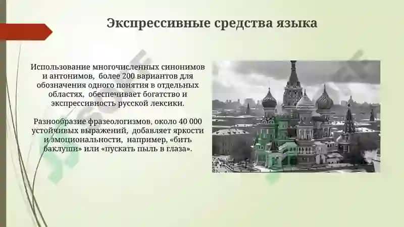 Лексическое богатство русского языка 3