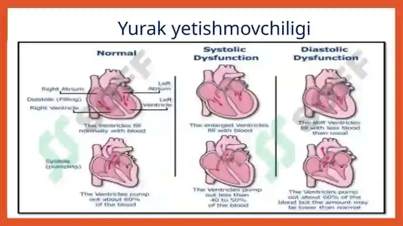 Yurak ishi yetishmovchiligida kompensatsiya 3