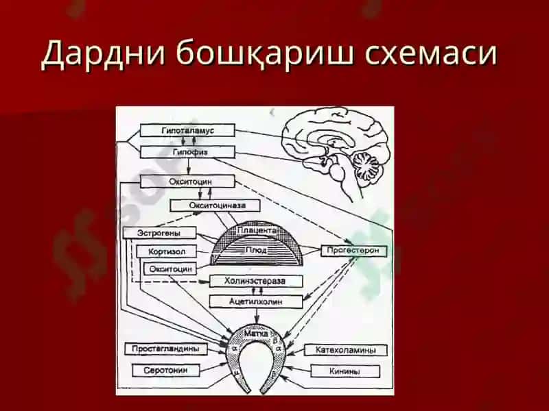 Патологик тугрук 3