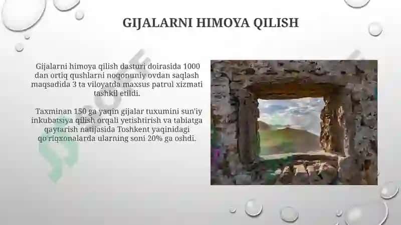 Gijalar 3