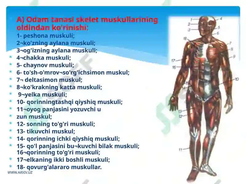 HARAKAT – TAYANCH A’ZOLARI JAROHATLANGAN BOLALAR TA’LIM TARBIYASI 3