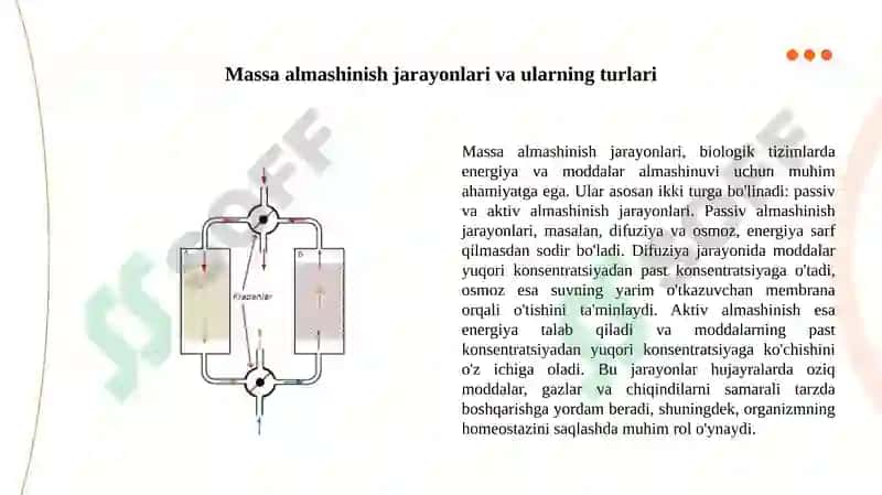 Massa almashinish jarayonlari va ularning turlari 3