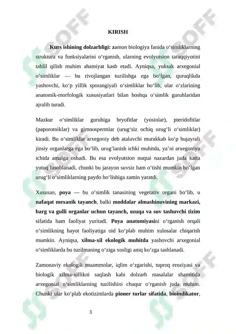 Kurs ishi 3