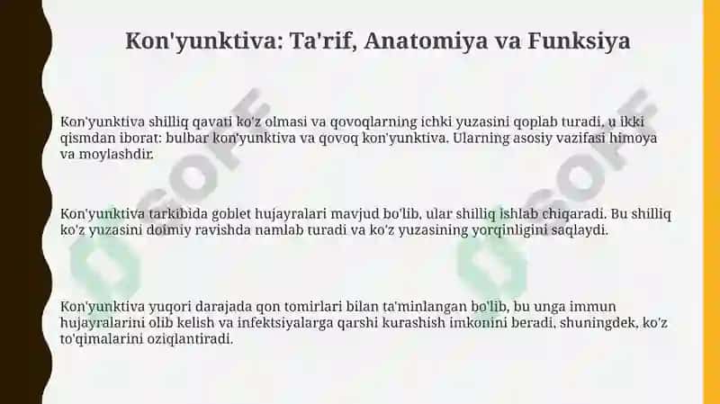 Kon'yunktiva 3