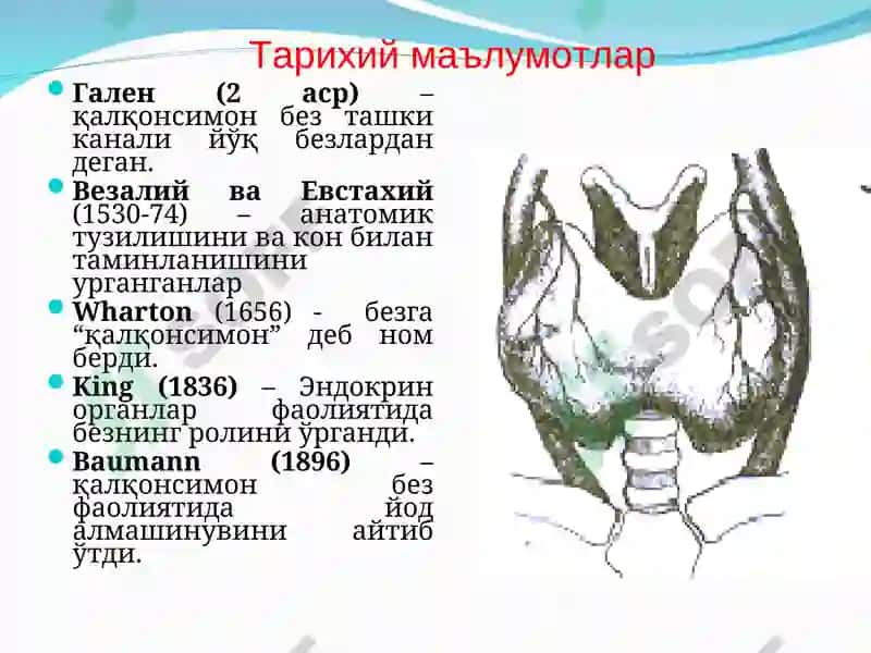ТТА нинг 1 сонли факультет ва госпитал хирургия кафедраси 3