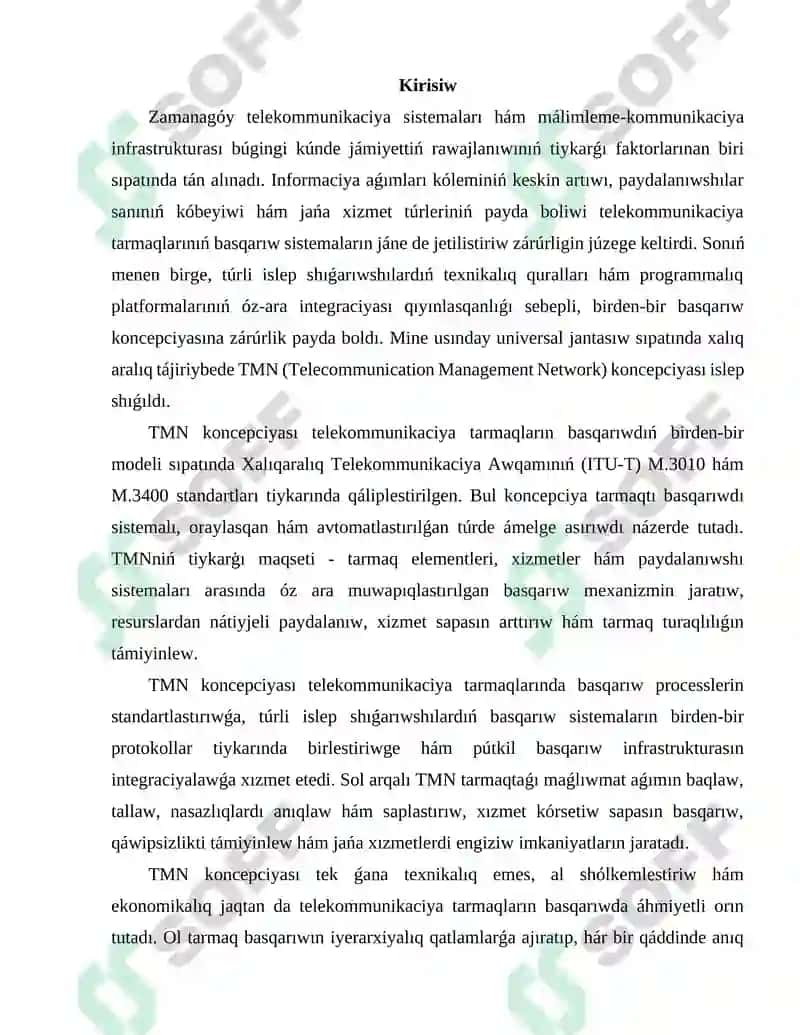 TMN koncepsiyası 3