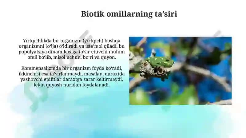 Turli ekologik omillarning tirik organizmlarga ta'sir etish mexanizmlari 3