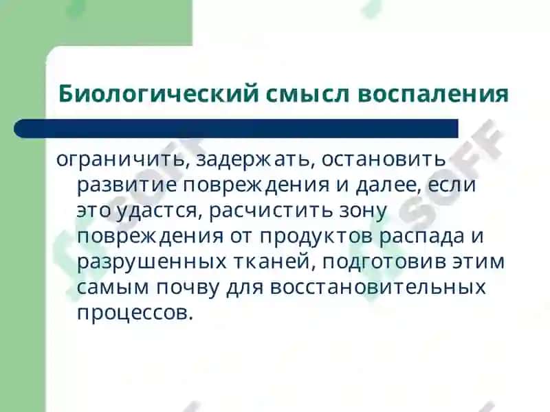 Патофизиология воспаления, лекция 3 3