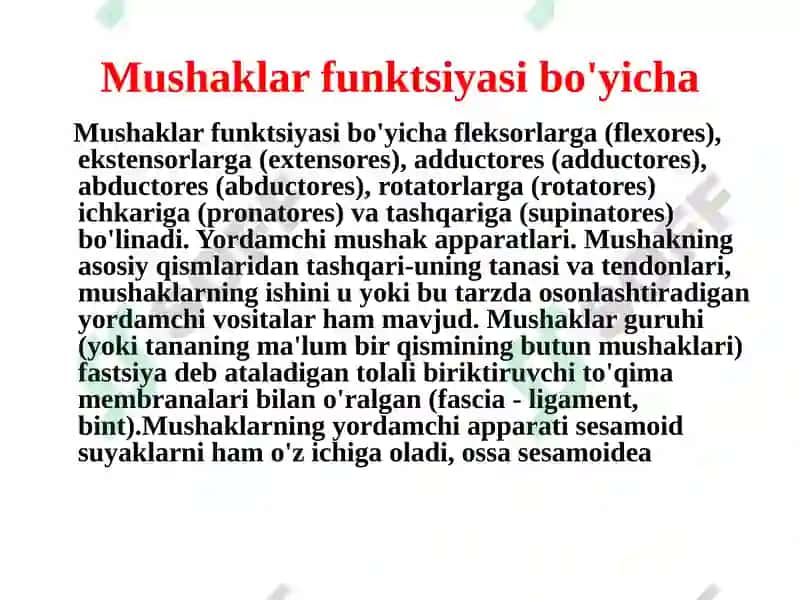 Gavda mukullari 3