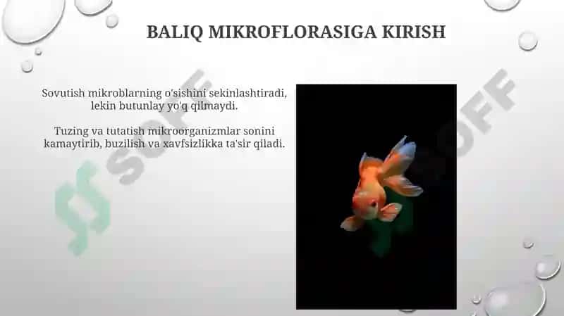 Baliq va dengiz mahsulotlari mikrobiologiyasi 3