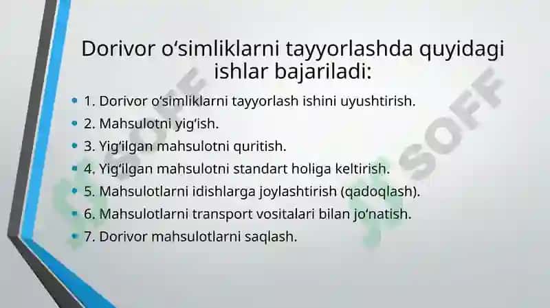 Xalq tabobatida dorivor o’simliklarni tayyorlash, saqlash va ishlov berish usullari 3
