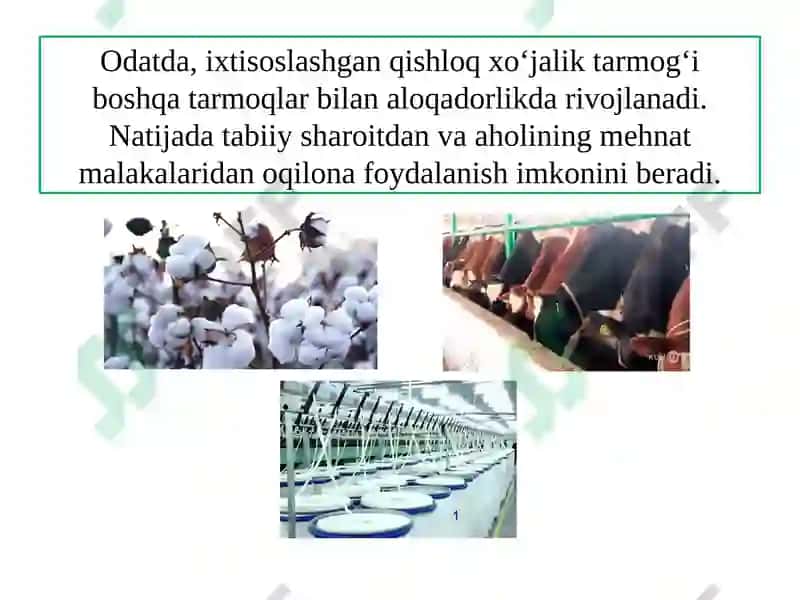 O‘ZBЕKISTОNDАQISHLОQХO‘JАLIGINING GЕОGRАFIK TIPLАRI 3
