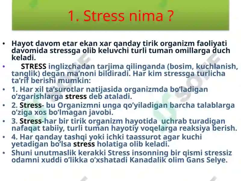 Stressmenedjment treningi 3