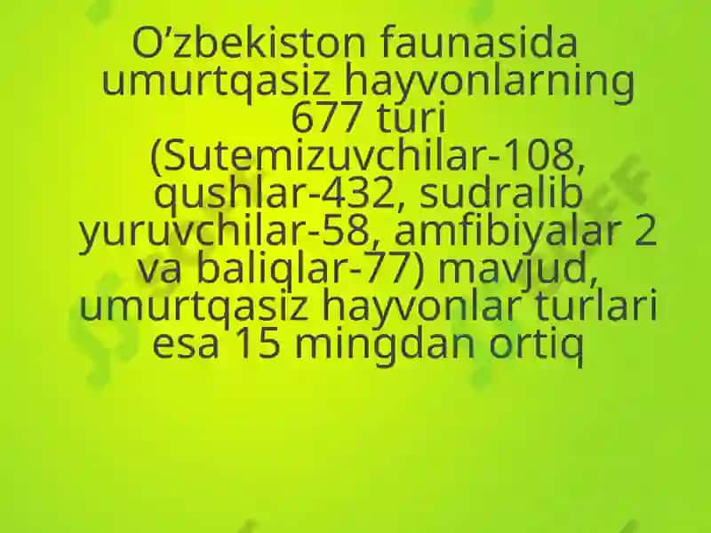 Ekologiya-haqida-tushuncha 3