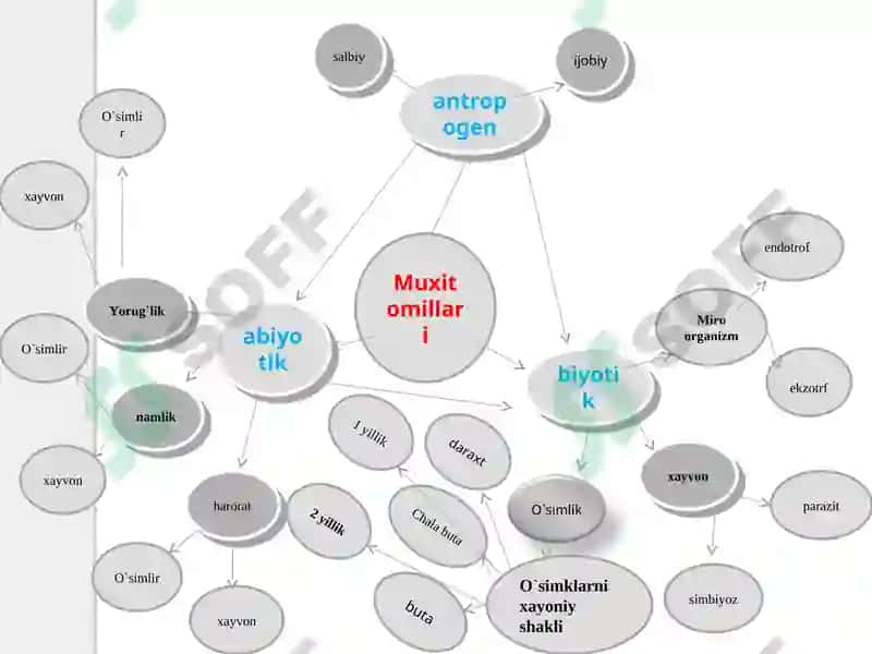 Abiotik, biotik, antropogen omillar 3