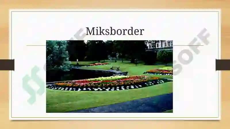 Arabeska, bordyur, partershaklidao’simliklar 3