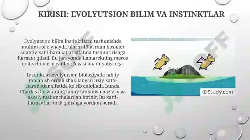 Instinktlarni o'rganishning zamonaviy usullari va kelajakdagi yo'nalishlar 3