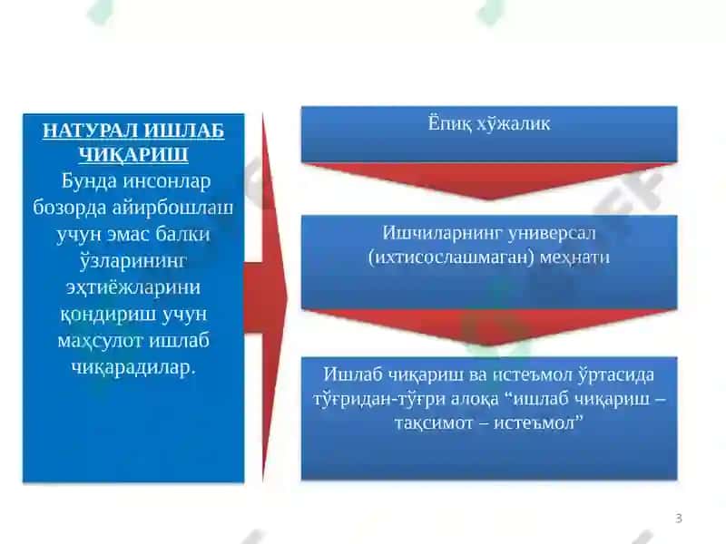 НАТУРАЛ ИШЛАБ ЧИҚАРИШ 3