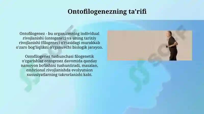 Ontofilogenez 3