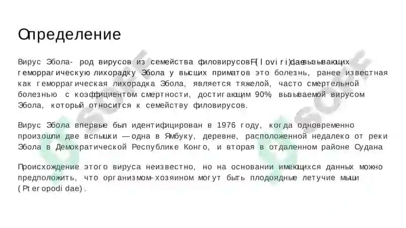 Вирус Эбола 3